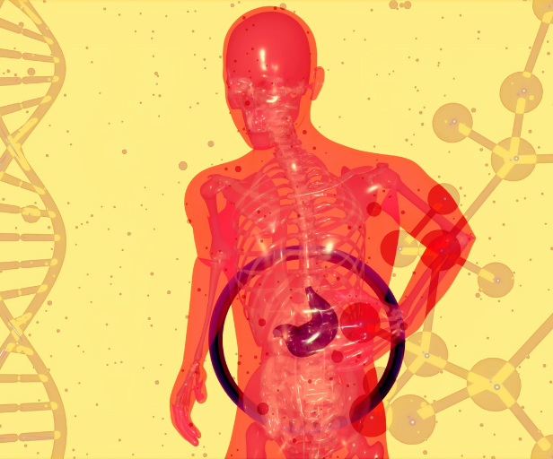 Southampton scientists working to unlock link between gut and brain health