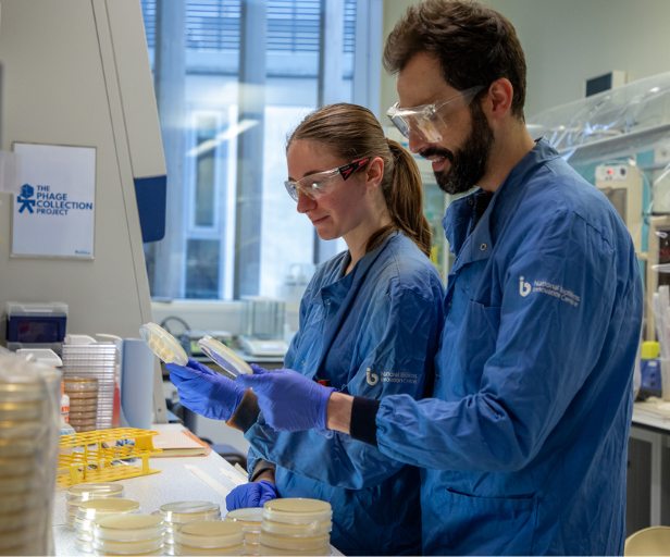 New collection of bacteria-eating viruses to tackle hospital superbug