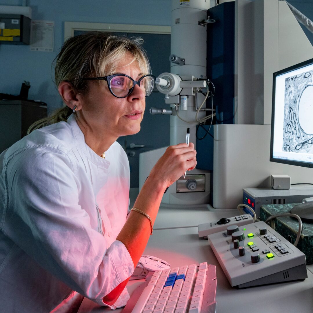Image of Professor Roxana Carare looking at brain scans on a computer.