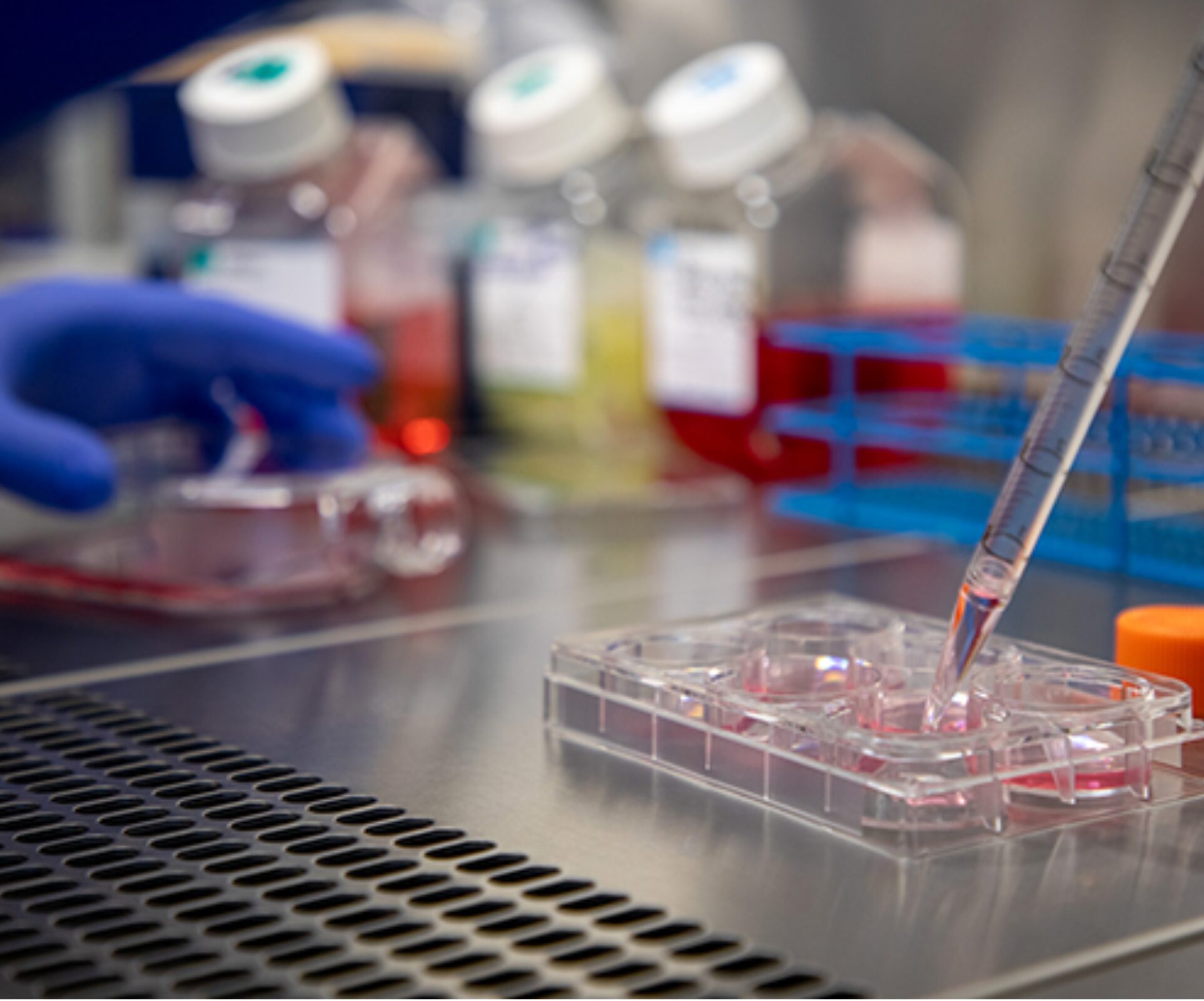 Lung cancer cells switch identity to resist treatment